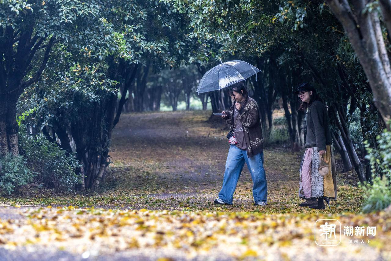 立冬将至，“秋香”将尽