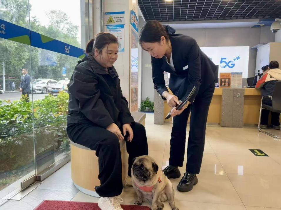 智慧养宠时代来临，浙江移动升级毛孩子的智慧服务