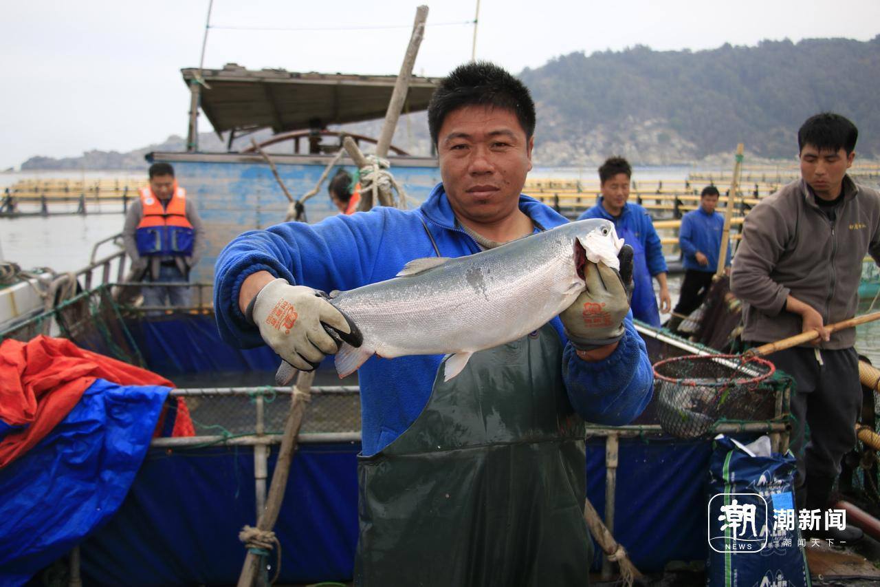 全国首例三文鱼“北繁南养”大规模养殖试验项目在浙验收成功