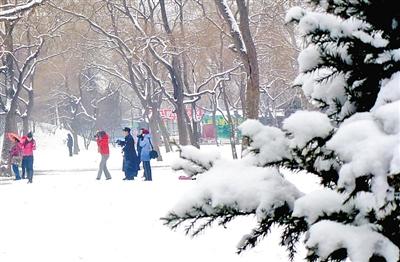 三级应急响应，杭州吹响抗雪防冻集结号 确保居民用上电、吃上菜