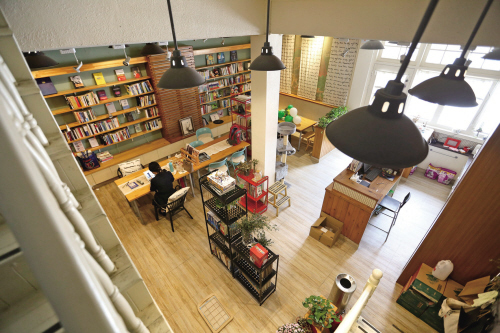 “女海龟”创办独立书店