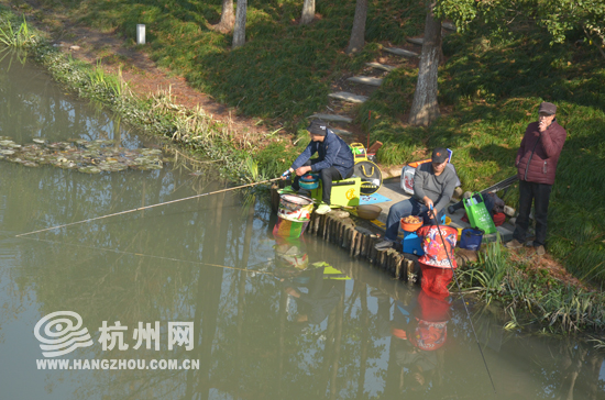 2018年杭州设立近500个垂钓点位 邀你来钓鱼