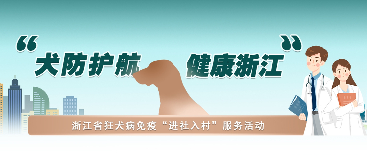 【专题】“犬防护航 健康浙江”