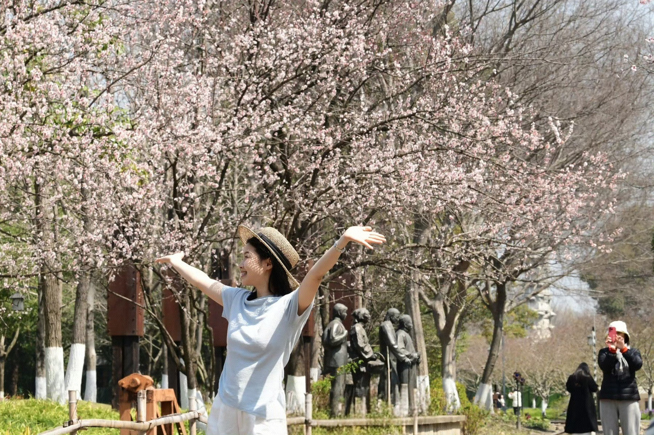 阳光还将放送三天，浙江人抓紧洗晒出游