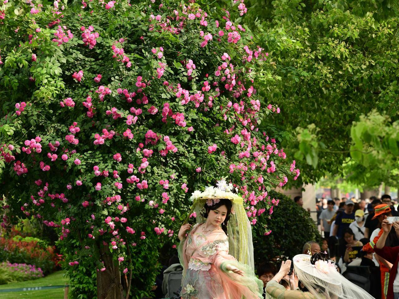 连晴四天后雨水冷空气强势返场，五一天气有消息了