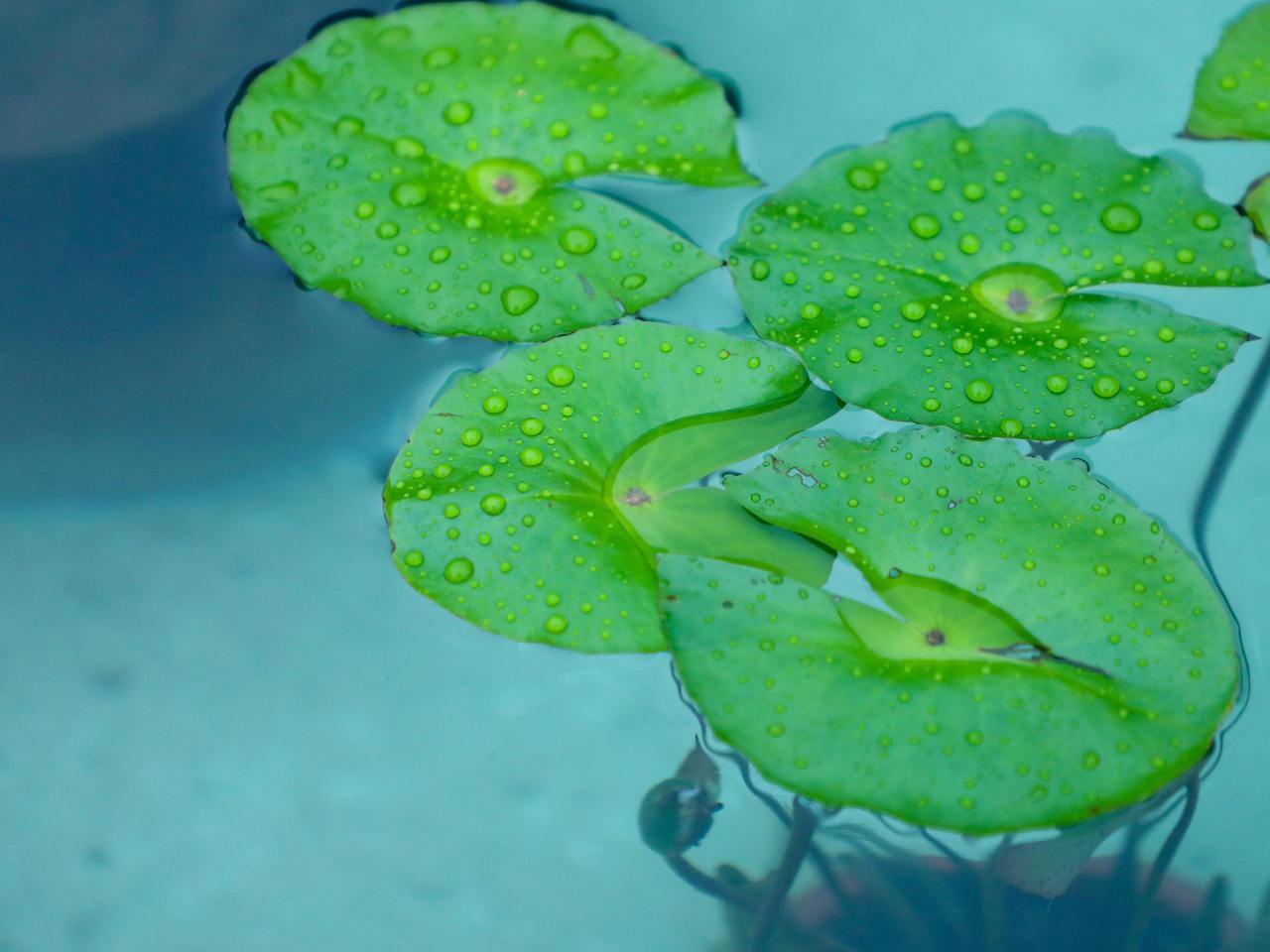 上午穿短袖，夜里下大雨 浙江人的春装先别急着收