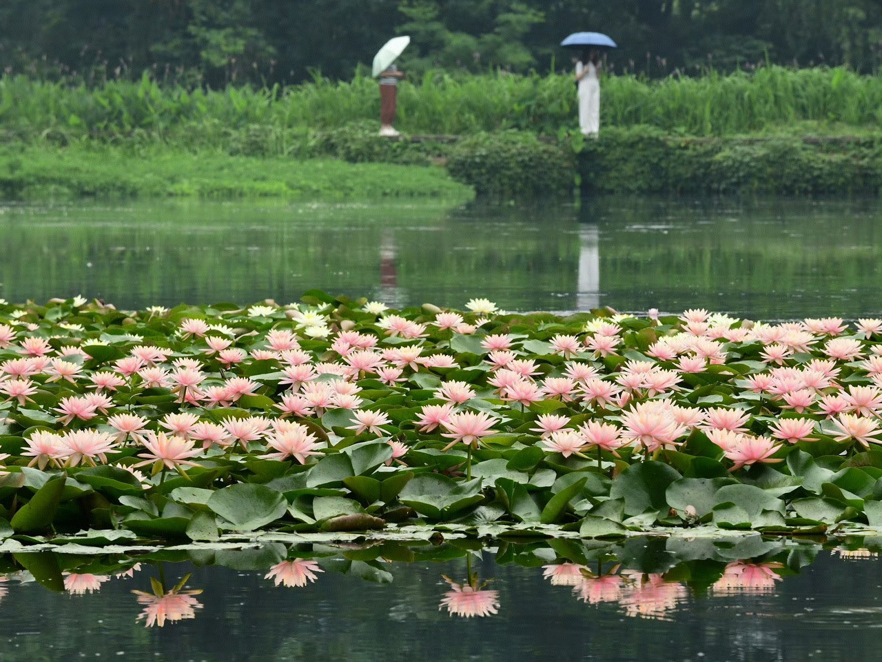 今日小满，浙江后续还有两轮降雨
