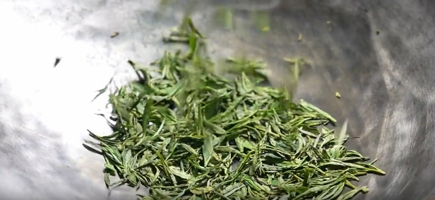 杭州：茶香漫卷三千年 数字觉醒新转塘