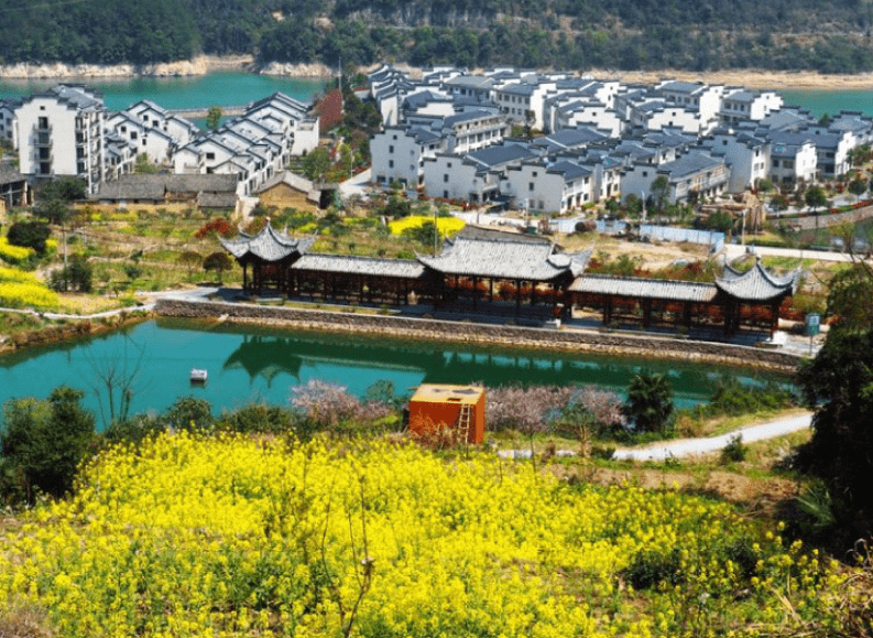 东阳江镇:打造特色田园风光 让生活慢下来